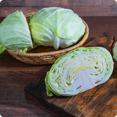 Cabbage image